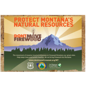 protect Montana's natural resources poster