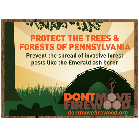 protect Pennsylvania forests poster