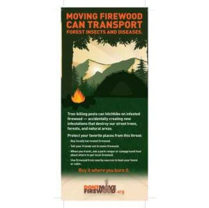 don't move firewood brochure