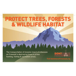 Colorado protect trees poster