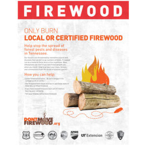 burn local firewood poster