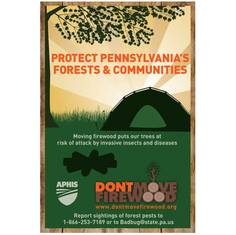 protect Pennsylvania forests don't move firewood poster