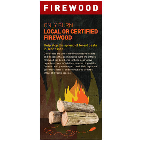 TN rack card don't move firewood