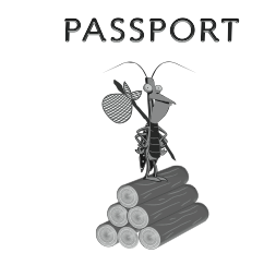 passport game