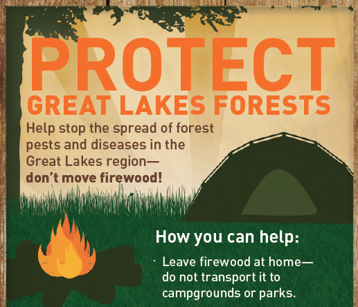 protect great lakes and forests poster