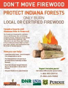 Indiana burn local firewood mini poster