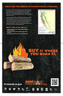 CA don't move firewood infographic