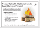 CA don't move firewood postcard