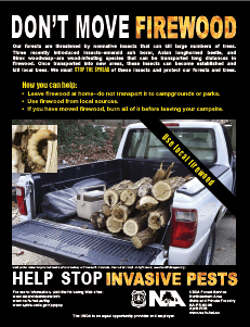don't move firewood northeastern area poster