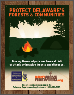 protect Delaware forests poster