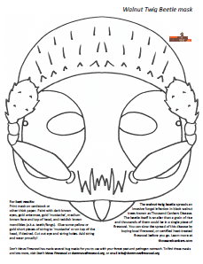 walnut twig beetle masking for coloring