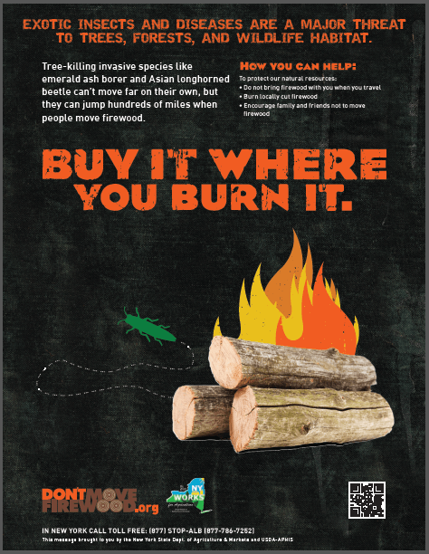 buy it where you burn it poster NY