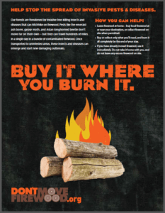 buy it where you burn it poster