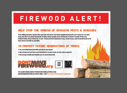 don't move firewood postcard