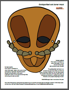 goldspotted oak borer mask