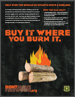 buy it where you burn it US forest service poster