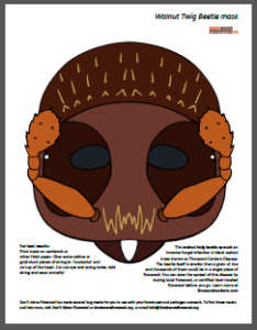 walnut twig beetle mask