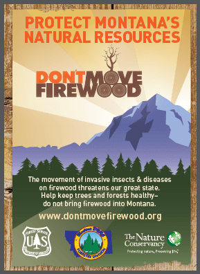 Montana don't move firewood poster