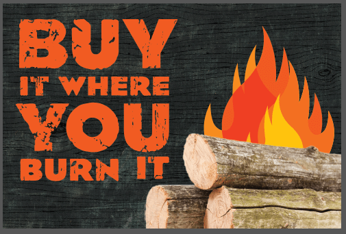 buy it where you burn it postcard CA