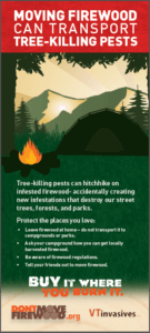 VT custom don't move firewood brochure