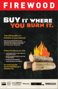 2015 vermont buy it where you burn it poster