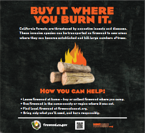 CA firewood task force campground ad