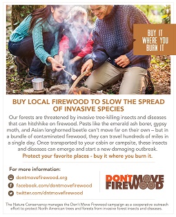 don't move firewood magazine advertisement