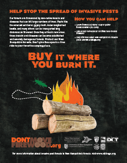 NH don't move firewood ad