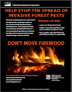 US forest service don't move firewood poster