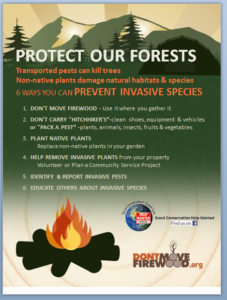 Protect our forests