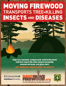 Tree Insects & Diseases