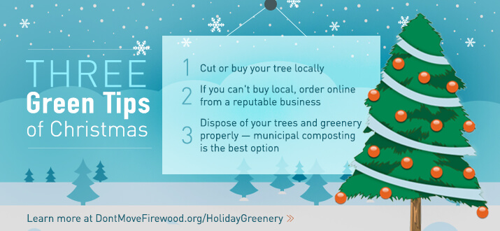Holiday Greenery - Don't Move Firewood