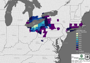 beech leaf disease map 2020