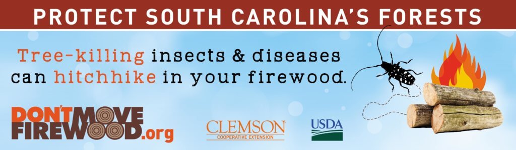 protect south carolina forests billboards