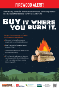 protect Illinois forests and trees