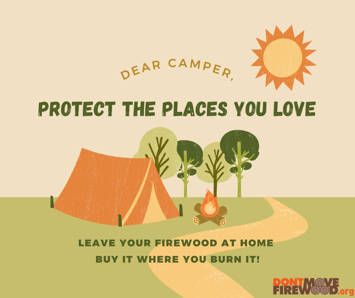 Dear Camper Social Media Graphic - Don't Move Firewood