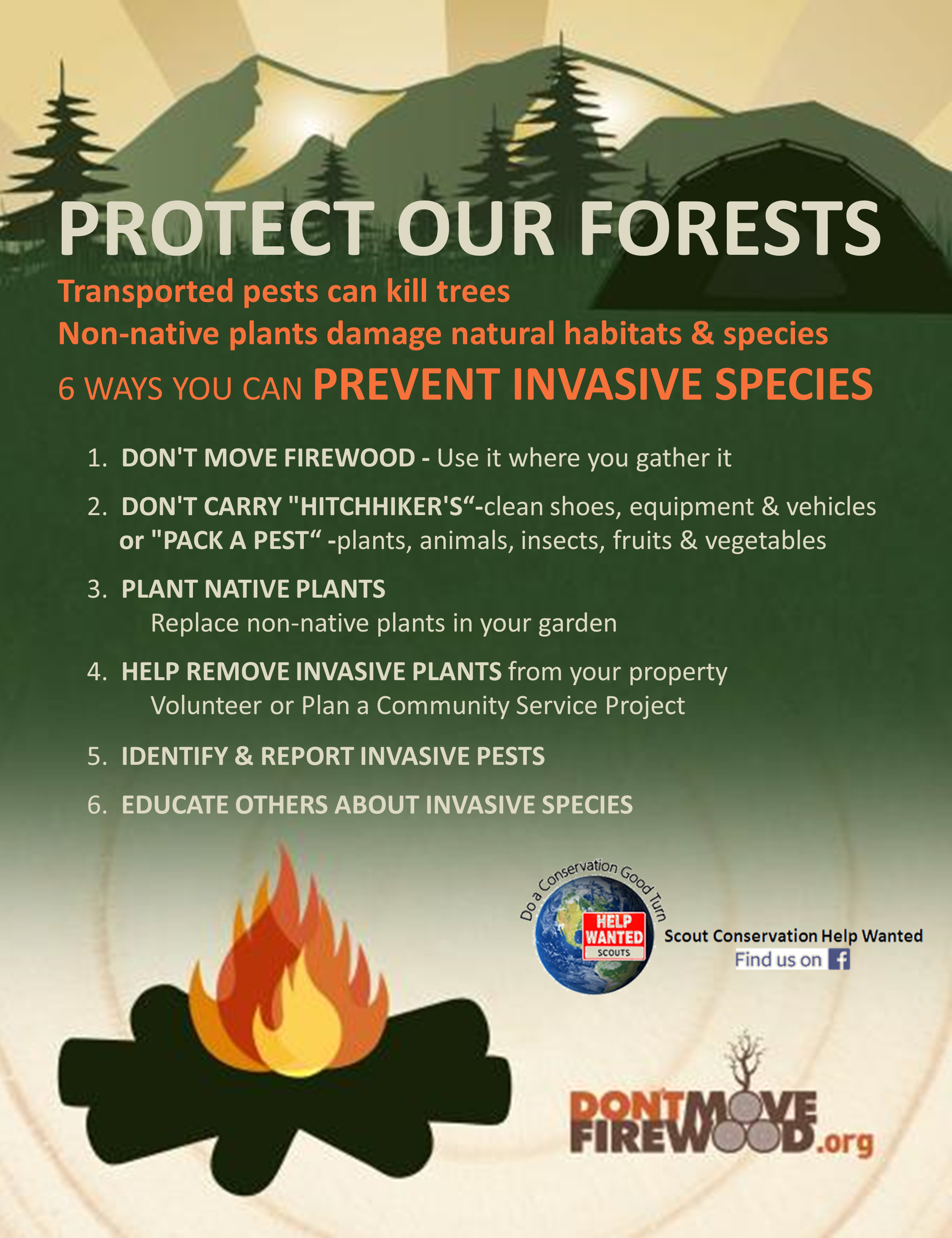 Protecting Our Forests: The Work Of Tori Page At Wwf - ryg2e63