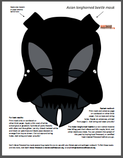 asian longhorned beetle mask